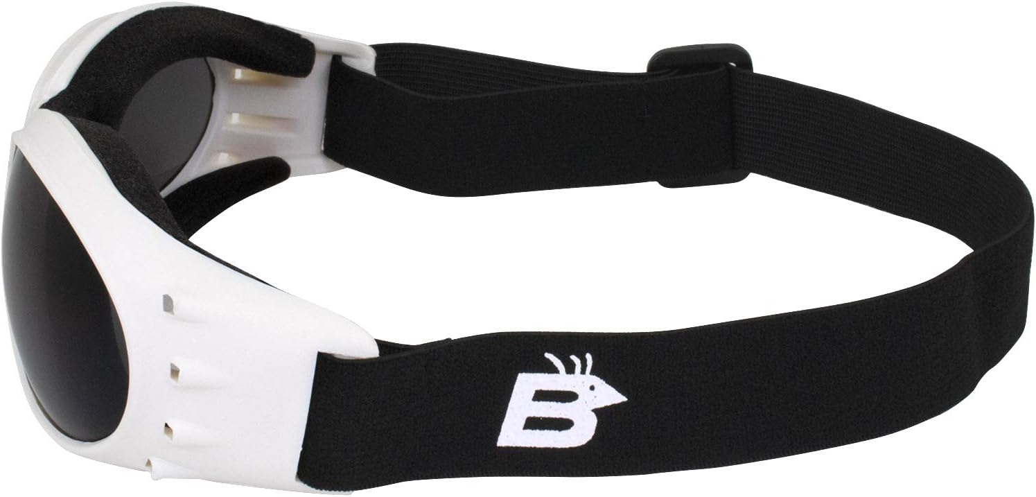 Birdz Eyewear Eagle Motorcycle Skydiving Padded Goggles White Vented Frames Bundle of Clear & Smoke or Clear Smok Yellow Anti-Fog Lenses