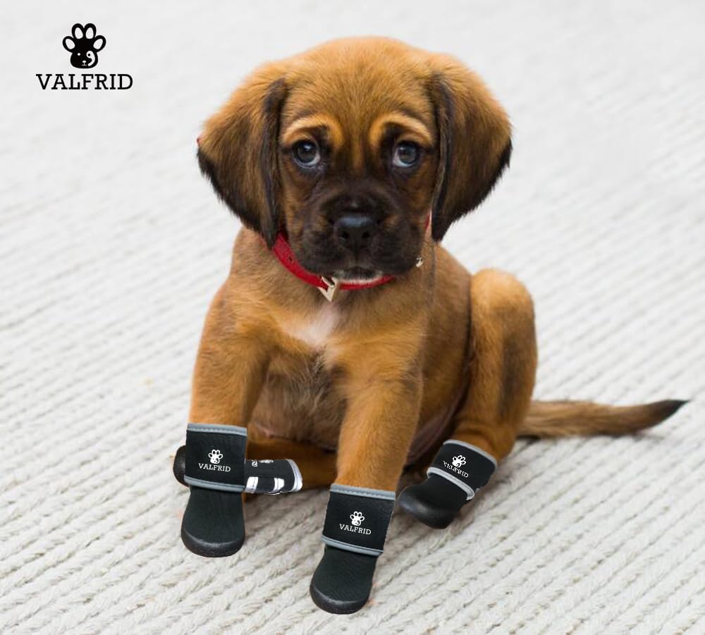Zapatos para perro, botas de lluvia impermeables para invierno y días nevados, pavimento caliente de verano, botines para perros pequeños, medianos