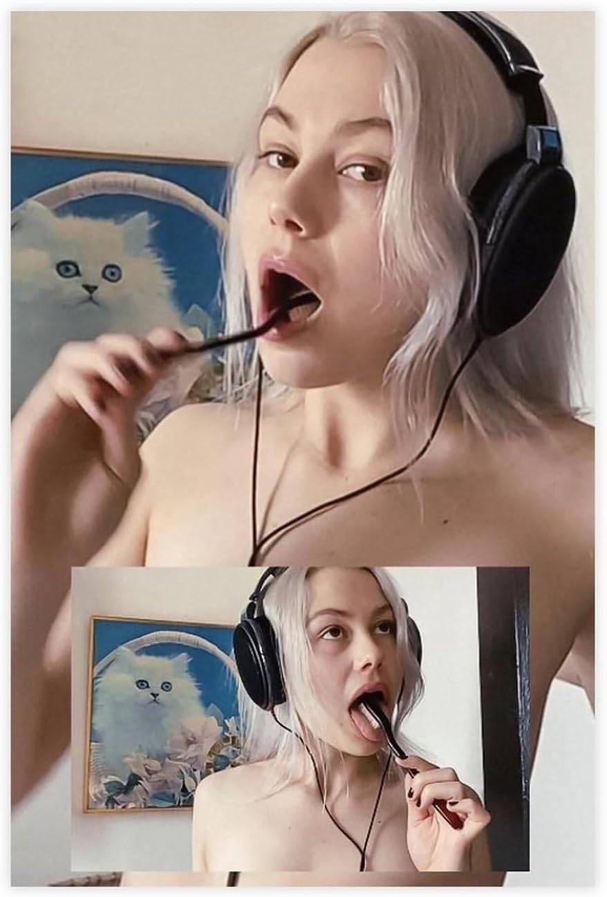 Phoebe Bridgers – Póster artístico de fotografía de cantante musical para retrato, lienzo para decoración de pared, póster de lienzo Bedr,