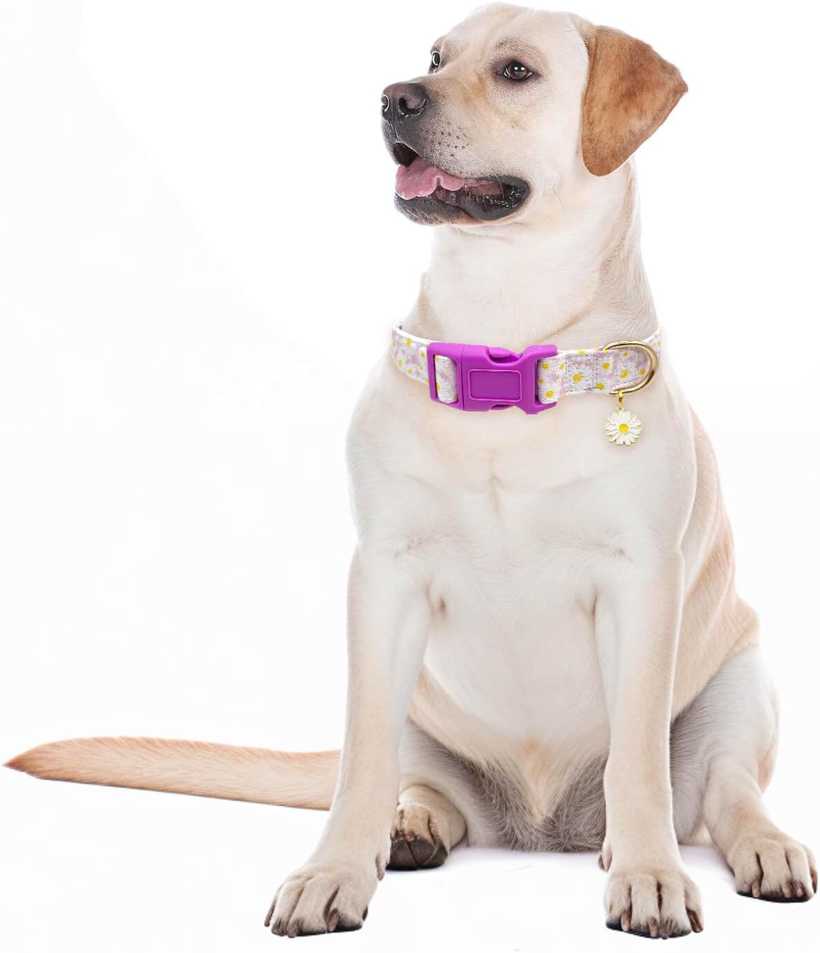 Collares para perros con hebilla ajustable para lindas, hembras, hembras, machos, collar especial suave y elegante para perros con diseño de flores