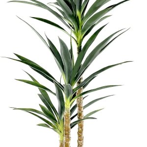 Árbol artificial de agave artificial de 4.7 pies con 3 cabezas en maceta de plástico, árbol falso para decoración del hogar, decoración de oficina Árbol artificial de agave artificial de 4.7 pies con 3 cabezas en maceta de plástico, árbol falso para decoración del hogar, decoración de oficina