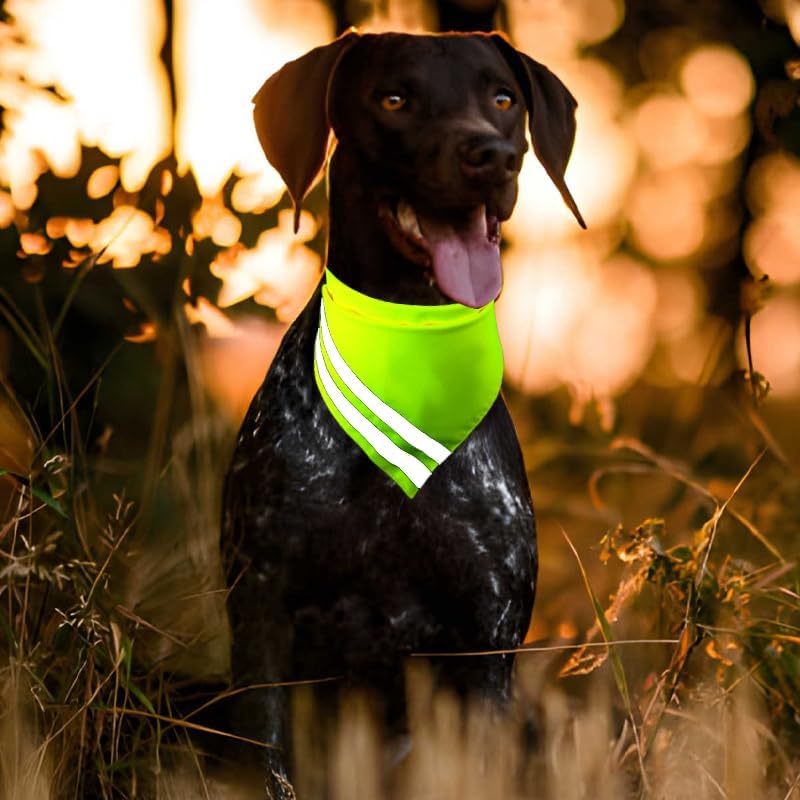 Bandana reflectante para perro, alta visibilidad, seguridad, reversible, triangular, baberos, bufanda, accesorios para caza, caminar