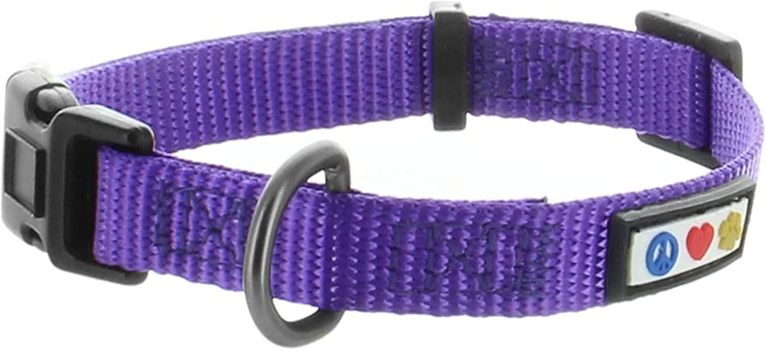 Pawtitas Paquete económico  Arnés para perro pequeño + collar para perro pequeño + correa para perro extra pequeñapequeña de 6 pies, juego morado
