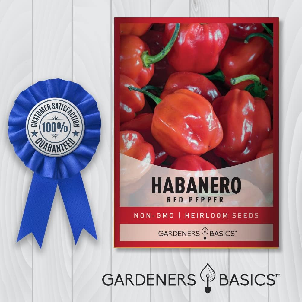Gardeners Basics, Semillas de pimiento habanero rojo para plantar más de 100 pimientos habaneros tradicionales sin OMG semillas de plantas para