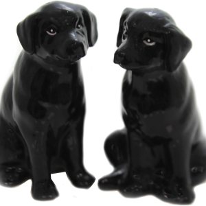 Juego de salero y pimentero de cerámica fina para perro, 3-34 pulgadas de alto Juego de salero y pimentero de cerámica fina para perro, 3-34 pulgadas de alto