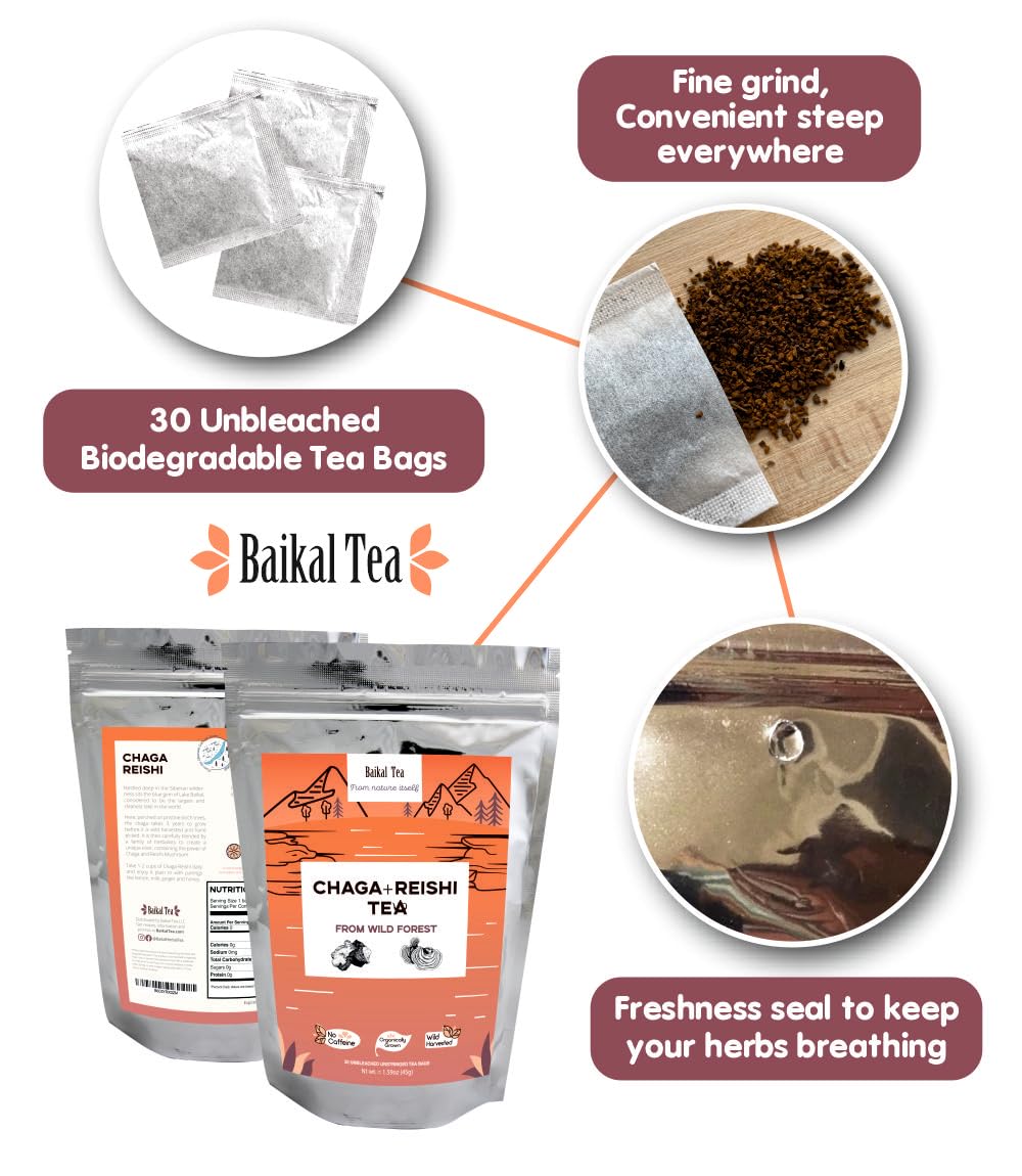 Baikal Tea Chaga Reishi Tea Wild Chaga Tea con Reishi – 30 bolsas de té sin blanquear – Suplemento de hongos Ganoderma Lingzhi con Chaga salvaje