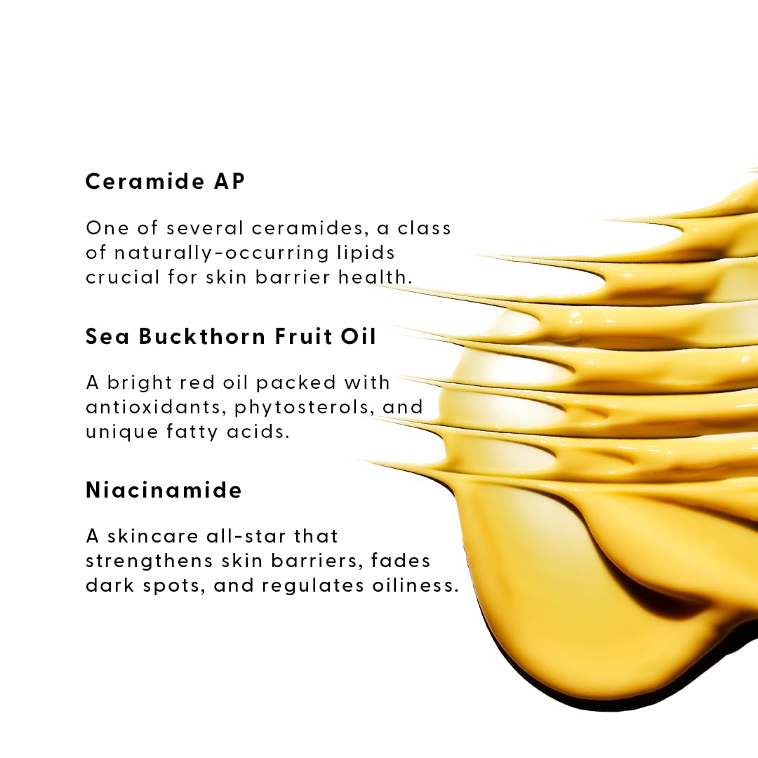 Stratia Lipid Gold Crema hidratante de ceramida fortalecedora de la piel, suero de niacinamida, hidrata y calma la piel, para todo tipo de piel, 1.7
