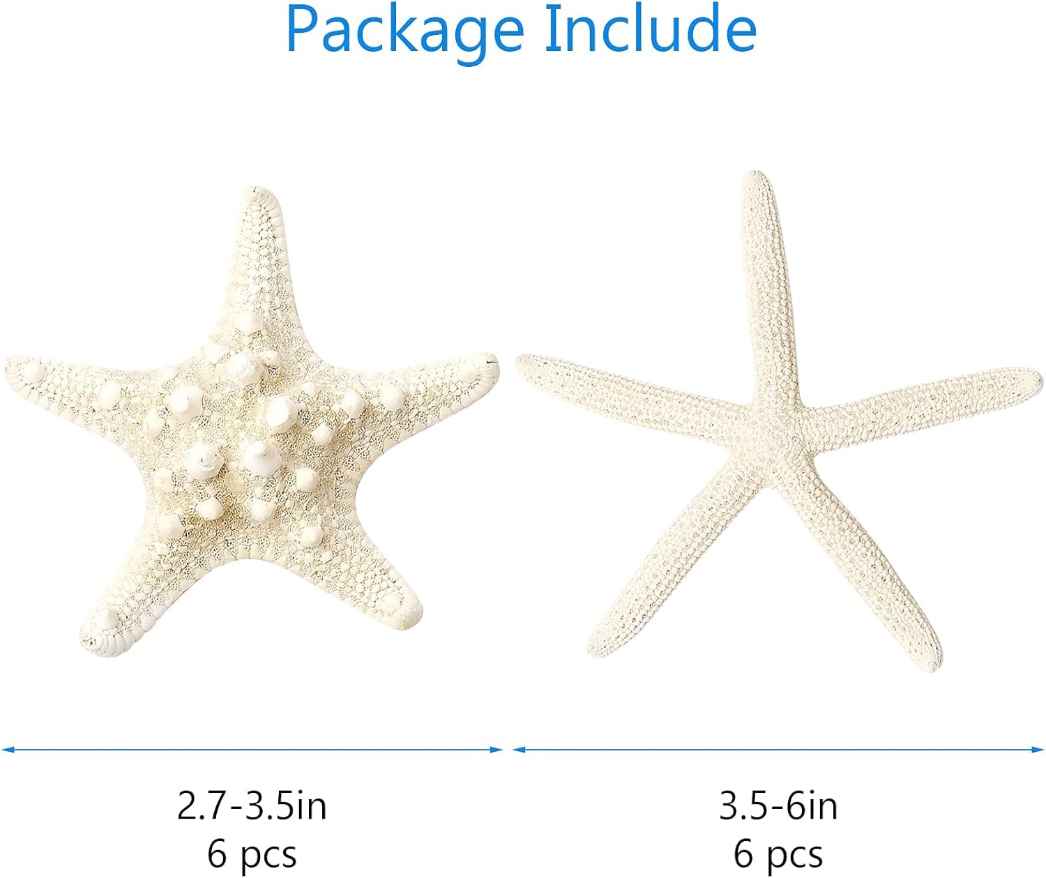 gopiter 12 piezas de estrellas de mar  Decoración de estrellas de mar de 2.5 a 6 pulgadas  Conchas naturales de estrella de mar a granel perfectas