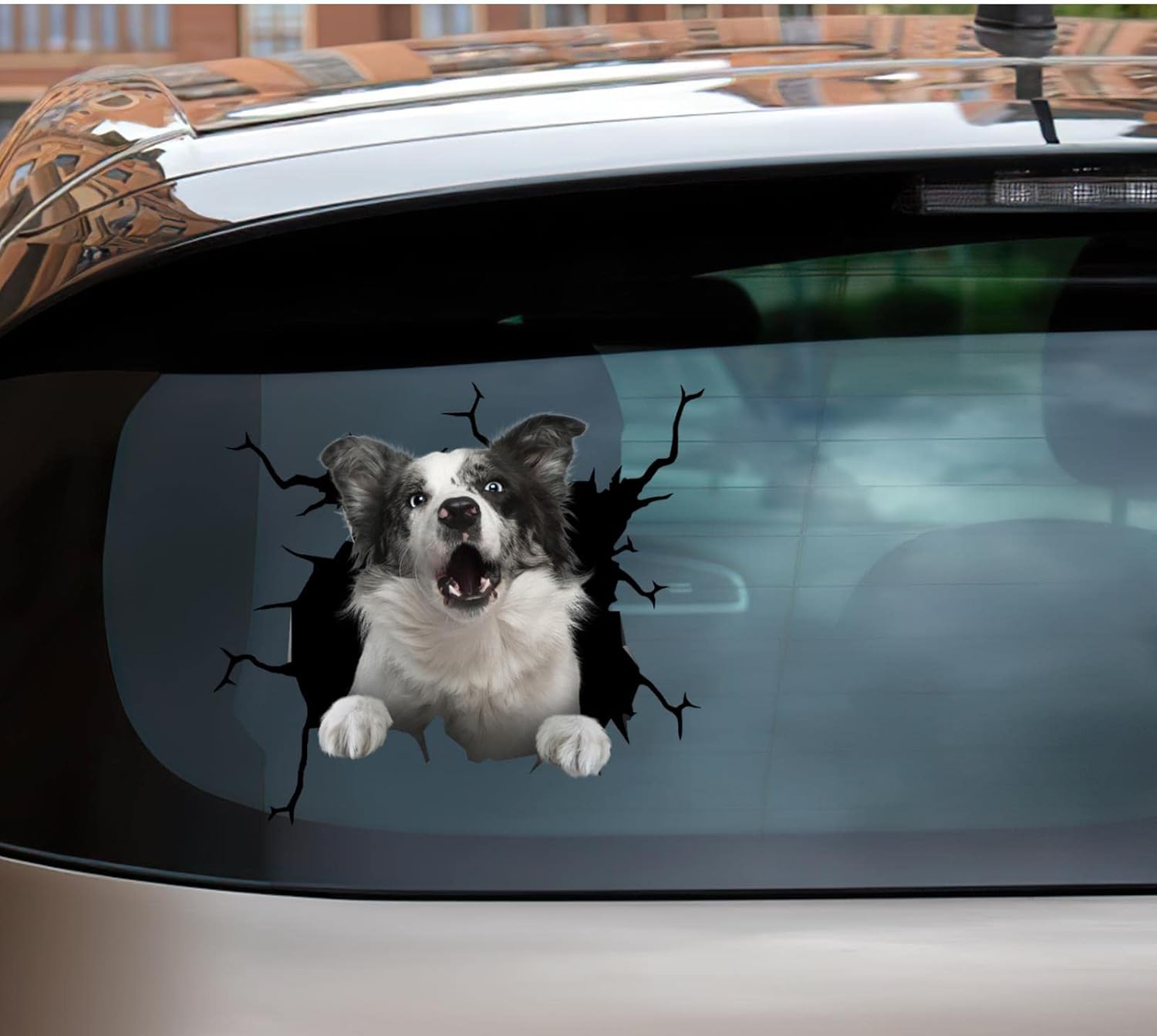 Pegatinas de perro Border Collie Border Collie para ventana de coche, calcomanía de camión de advertencia para caras divertidas Vinal Truck