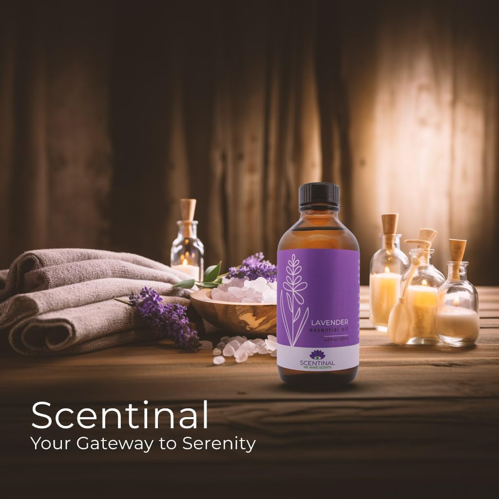 Aceite esencial de lavanda Scentinal  100% puro, natural y sin diluir  Botella extragrande de 4 onzas (4.1 fl oz) con cuentagotas  Experiencia