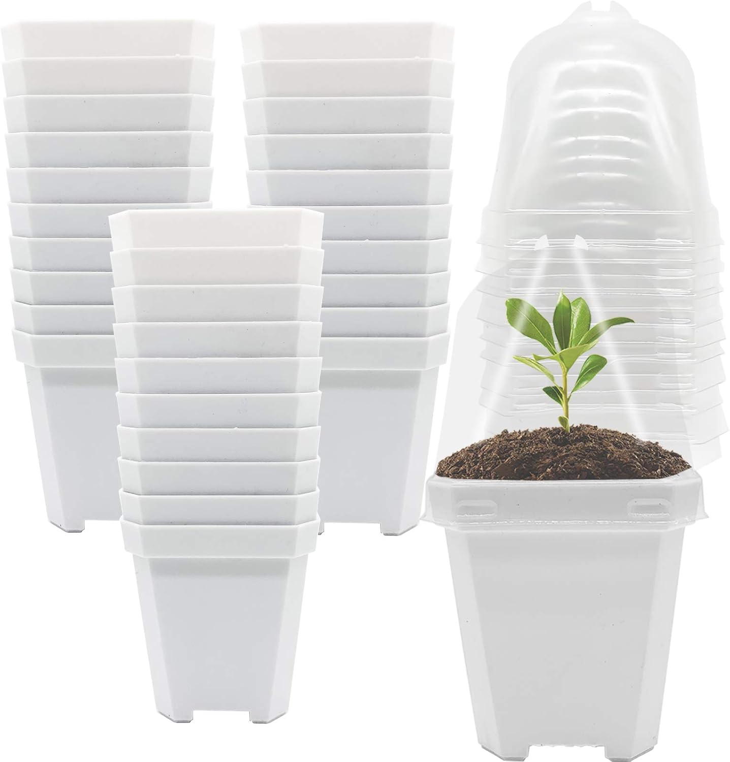 PURPLE STAR 1N 30 macetas de vivero con cúpula de humedad, macetas de jardinería pequeñas y cuadradas, tazas para suculentas, plántulas, esquejes de