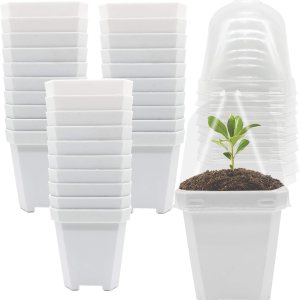 PURPLE STAR 1N 30 macetas de vivero con cúpula de humedad, macetas de jardinería pequeñas y cuadradas, tazas para suculentas, plántulas, esquejes de PURPLE STAR 1N 30 macetas de vivero con cúpula de humedad, macetas de jardinería pequeñas y cuadradas, tazas para suculentas, plántulas, esquejes de