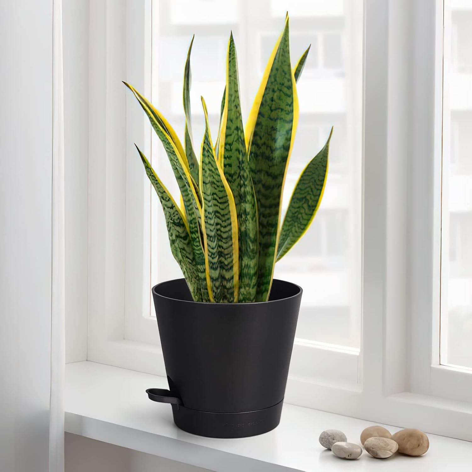 Macetas de riego automático de 8 pulgadas para interiores, paquete de 6 macetas de plástico con agujeros de drenaje, color negro
