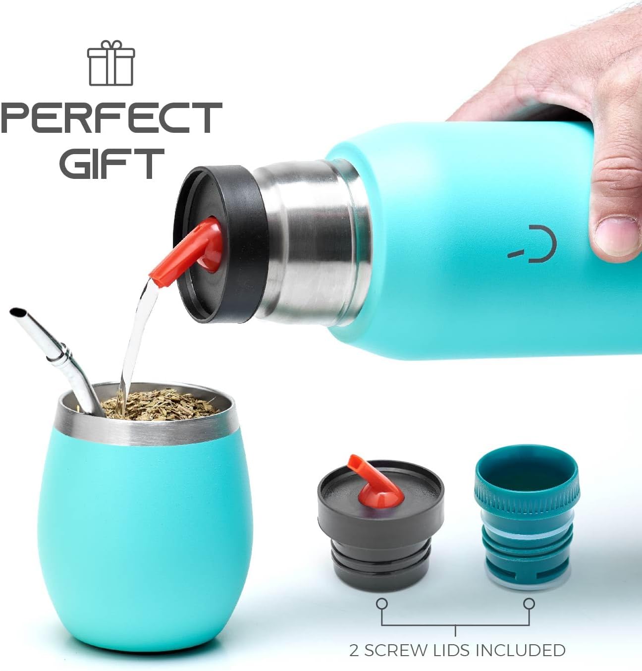 BALIBETOV Kit de yerba mate  Incluye 1 taza de yerba mate, 1 pajilla Bombilla Mate y 1 Mate Termo con 2 tapones  La calabaza de yerba mate de acero