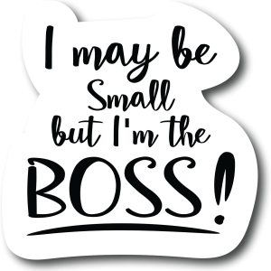 I May be Small But I’m The Boss – Imán para frigorífico, imán para lavavajillas, imán Boss  PM639 I May be Small But I’m The Boss – Imán para frigorífico, imán para lavavajillas, imán Boss  PM639