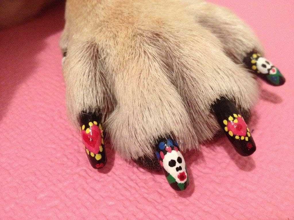 Lápiz de pedicura Warren London Pawdicure, esmalte de uñas para perro, paquete de de 1, Azul