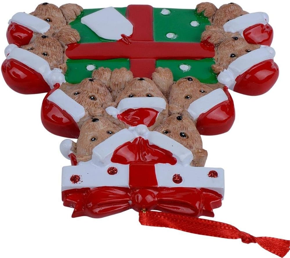 Adorno navideño de familia de 9 osos  Adorno personalizado de familia de osos 2023  Caja única de adornos de Navidad  Regalos para niños, nietos,