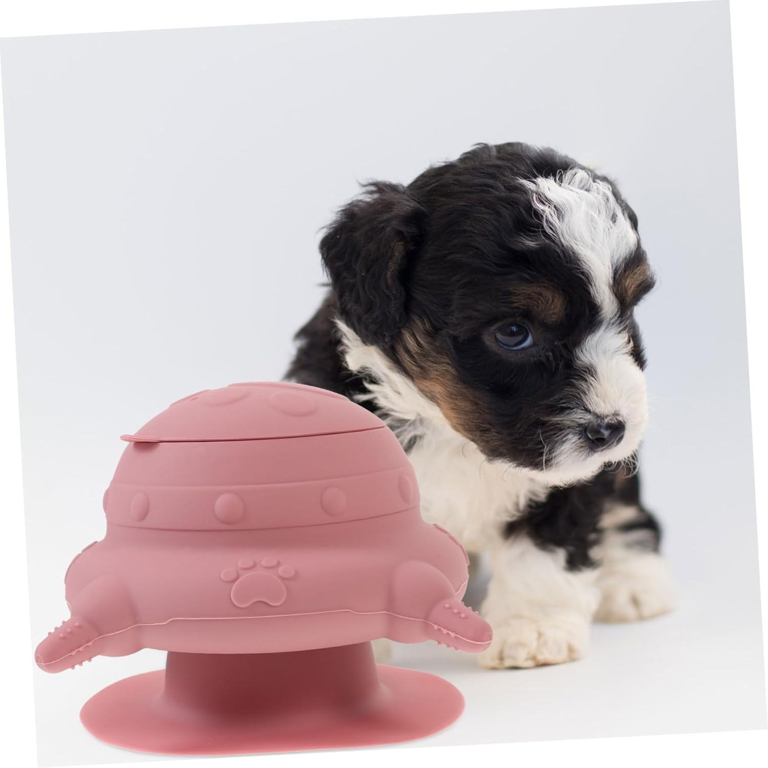 Mipcase Chupete Enfermera Tazón de alimentación Botella para cachorros Botella de animales recién nacidos Botella de leche para cachorros