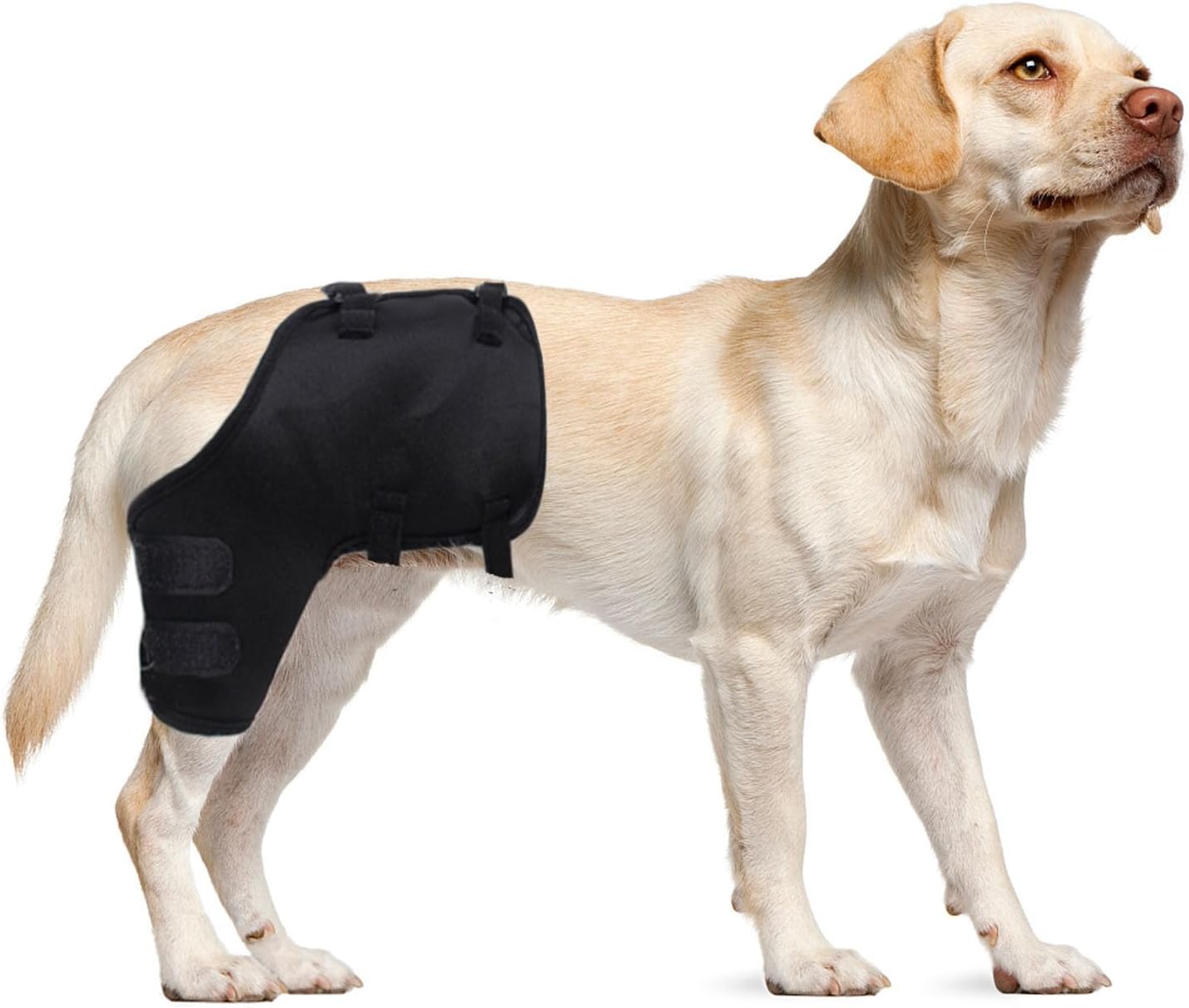 Protector de articulaciones de piernas de mascotas para perros, almohadillas protectoras ajustables para coderas de perro, manga de compresión de