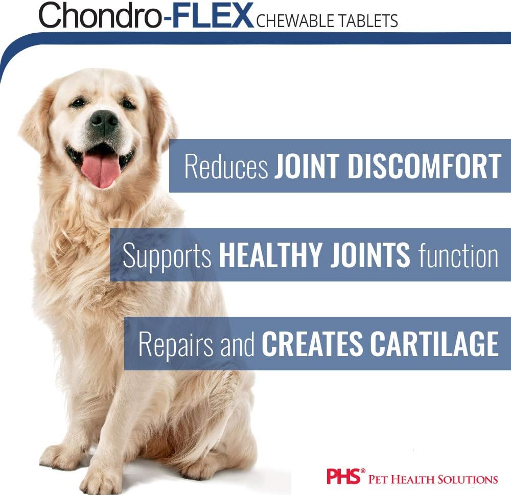 Chondro-Flex – Potente fórmula para el cuidado de las articulaciones para perros y gatos, máximo apoyo nutricional, glucosamina, condroitina, MSM,