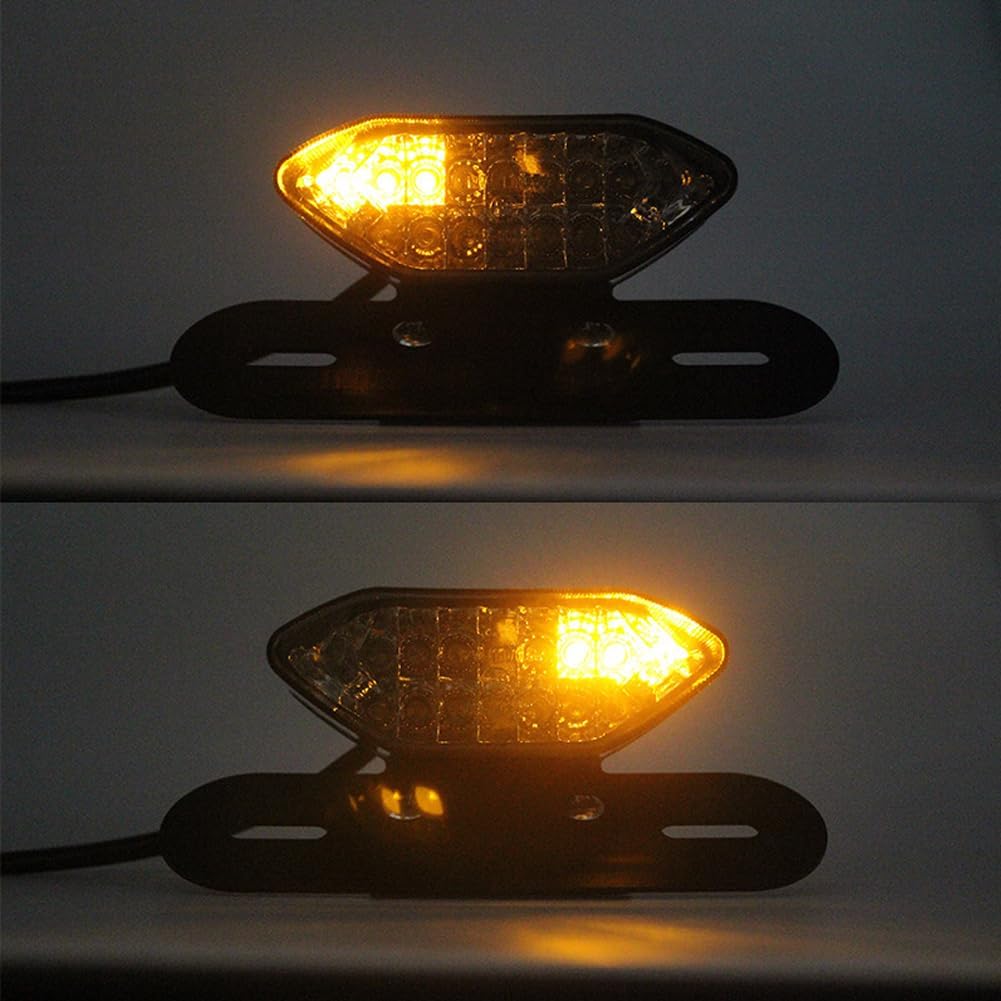 BISHERDER Luz de freno de motocicleta, universal 5 cables 16 LED luz trasera de motocicleta con señales de giro Bisherder12v Luz de matrícula de