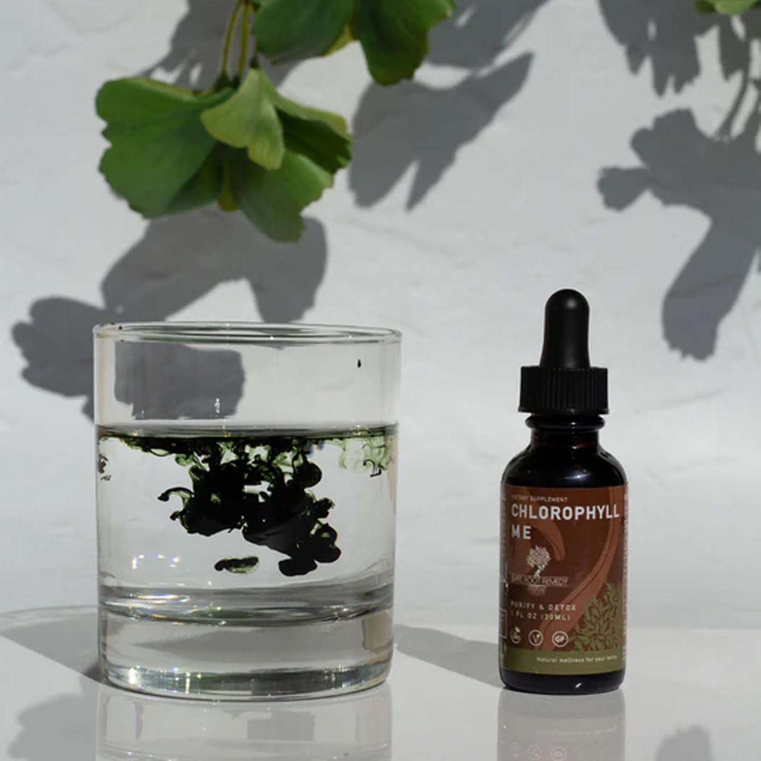 Chlorophyll Me, Clorofila líquida – Orgánico, desoderante y desintoxicante natural, estimulante inmunológico, sabor fresco y menta