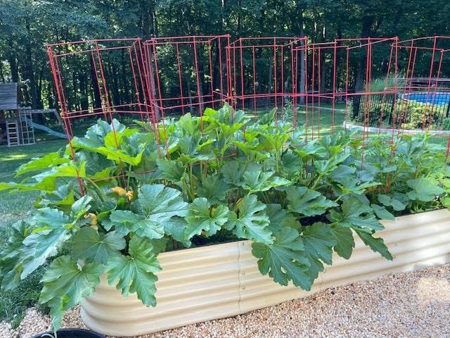VEGEGA. Kit de cama de jardín elevada de 8 x 2 x 1.4 pies, caja grande de metal de acero inoxidable de zinc-aluminio y magnesio, para plantar