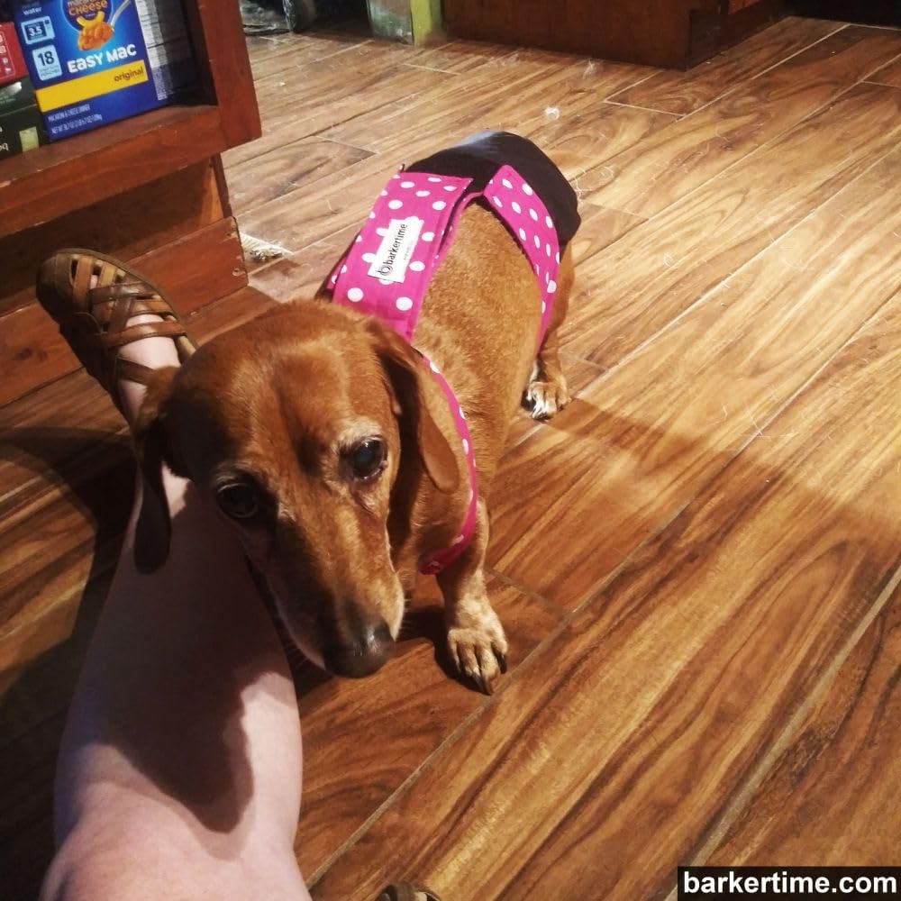 Pañal para perro de alta calidad, impermeable, a prueba de escapes, con lunares rosados sobre negro, talla M, sin agujero para la cola, fabricado en