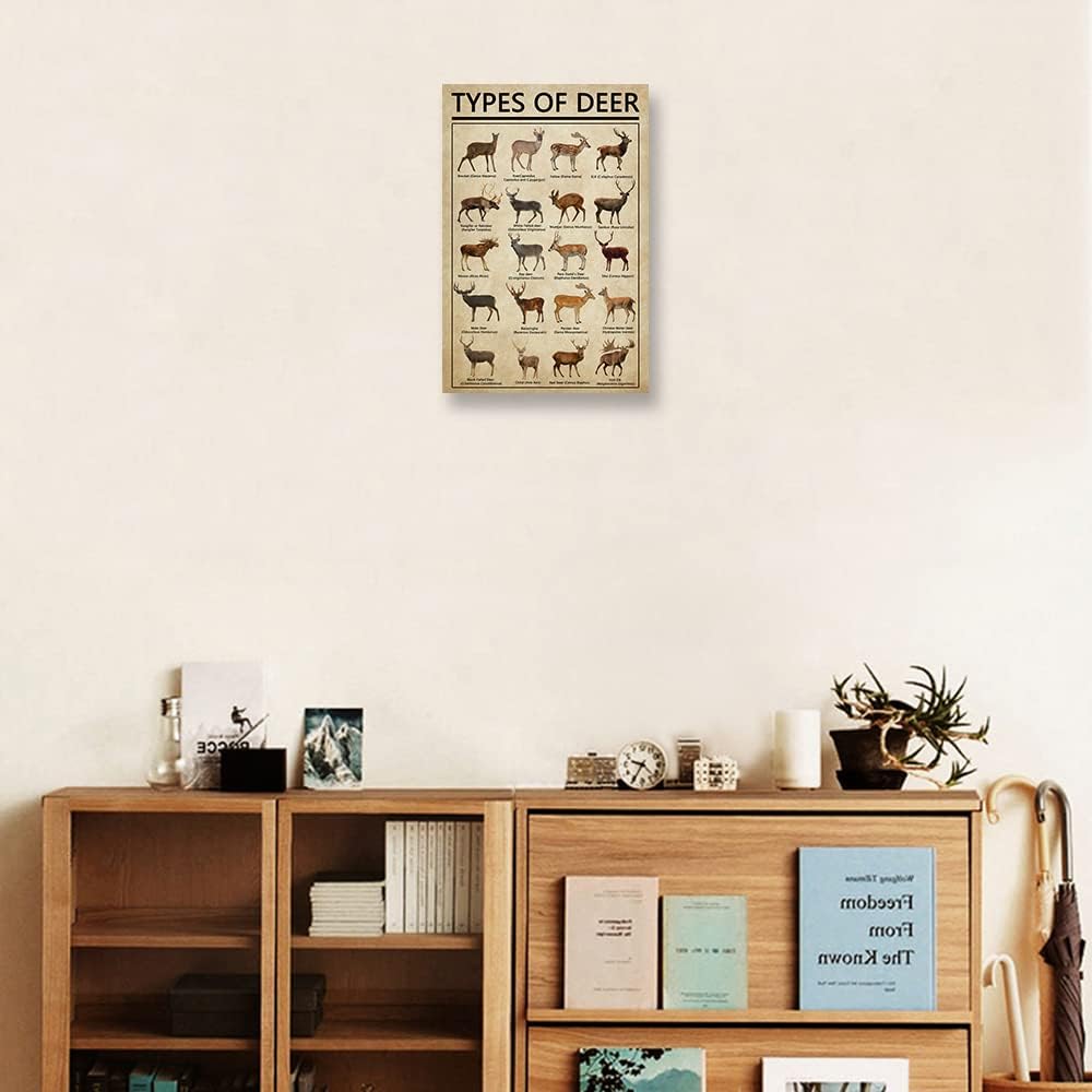 Póster de arte para pared de ciervos con diseño de conocimiento, arte de pared enmarcado, arte de pared educativo, pintura vintage, pósteres de