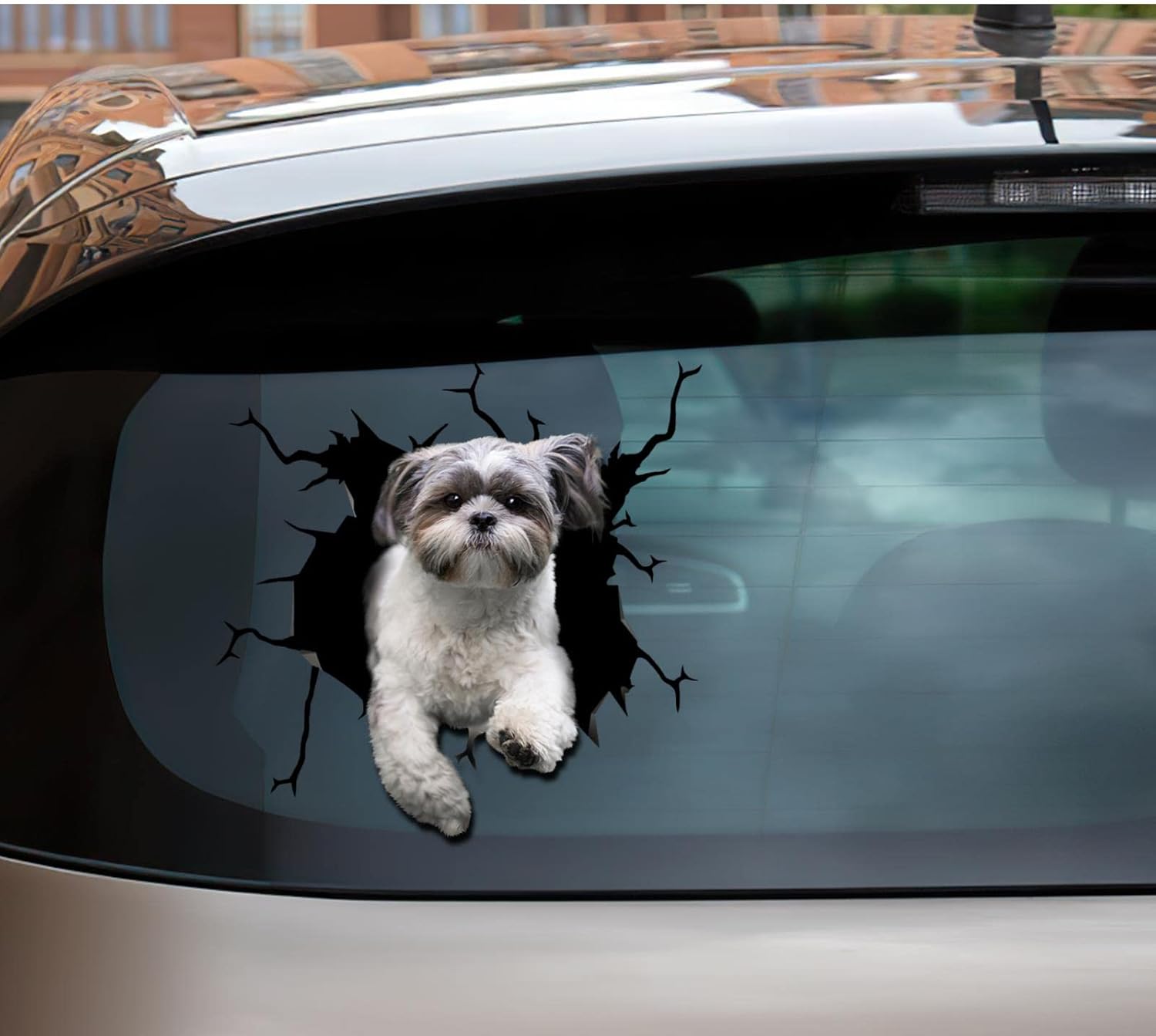 Shih Tzu – Adhesivo de advertencia para ventana de perro Shih Tzu para mujer, divertido memes, parachoques automotriz