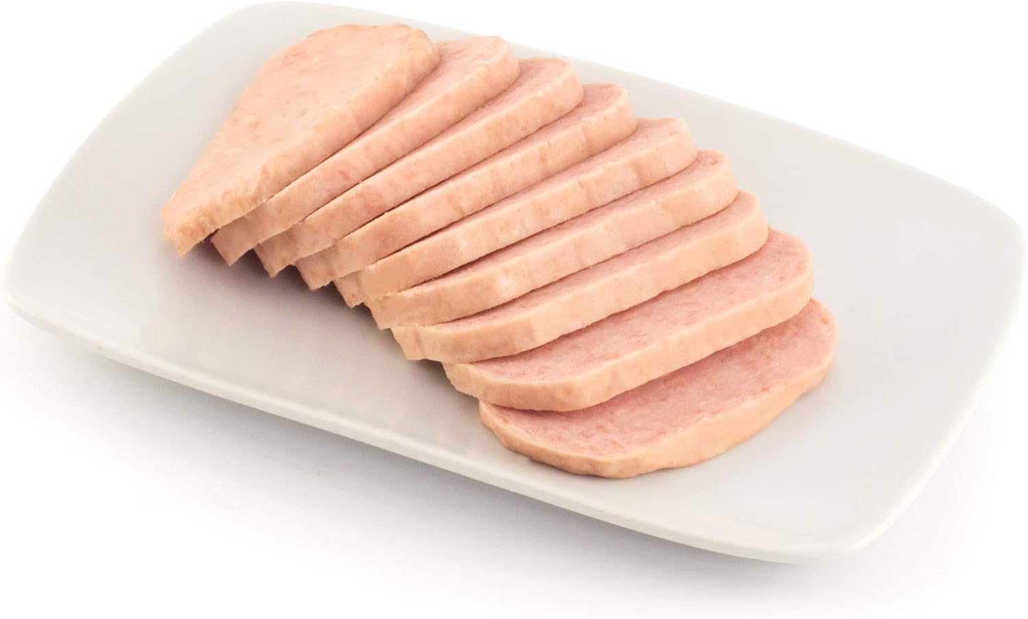 HIC Kitchen Almuerzo de carne con alambres de acero inoxidable, sin BPA, corta 9 rebanadas iguales  8.75 x 5 x 2 pulgadas, apto para lavavajillas,
