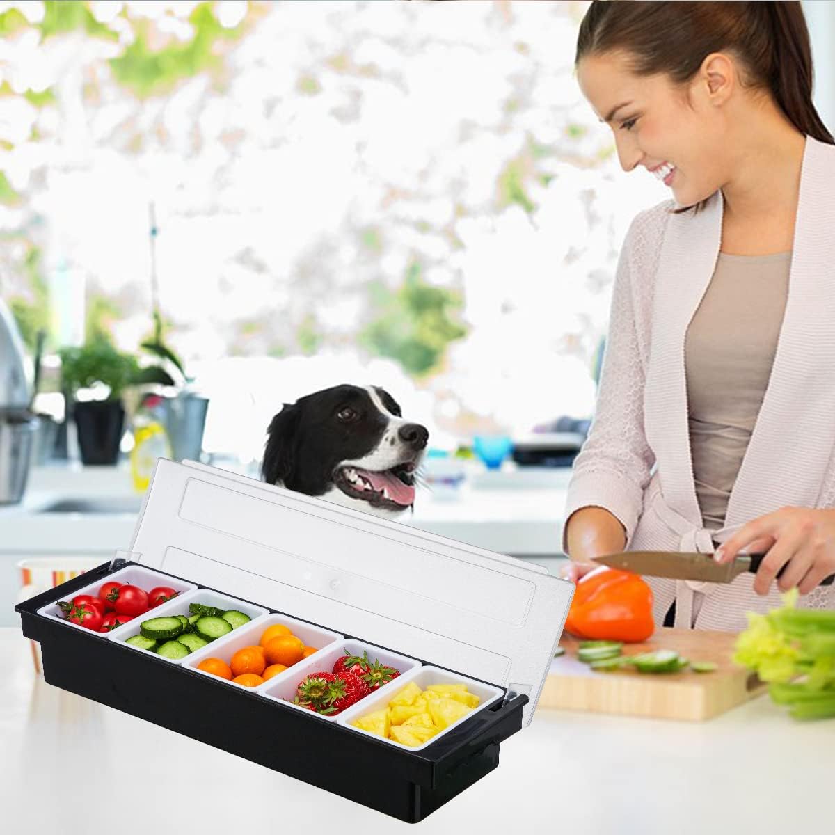 Ice Cooled Condiment Serving Container-6 Compartment Chilled Garnish Tray Bar Caddy with Hinged Lid (6 Compartments)