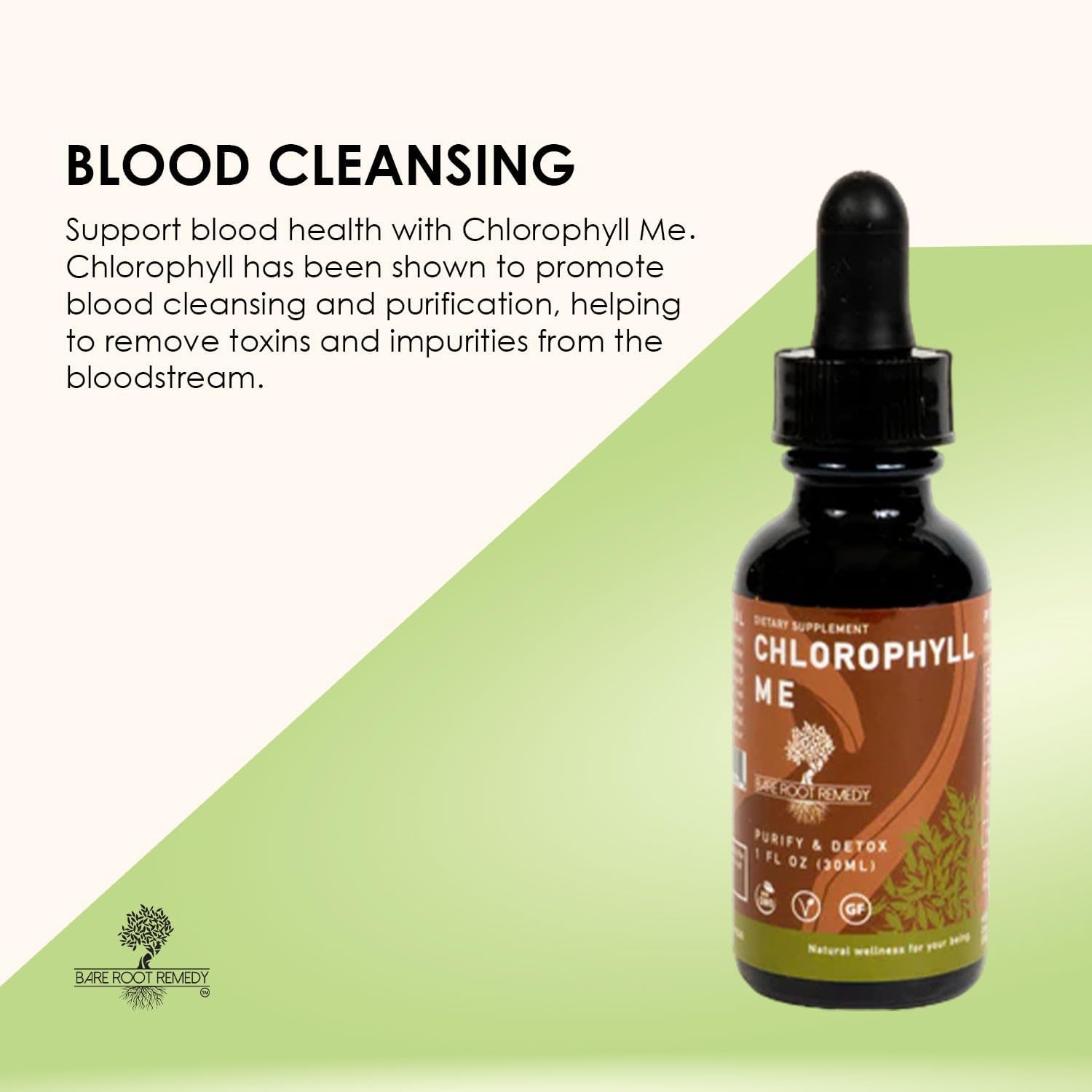 Chlorophyll Me, Clorofila líquida – Orgánico, desoderante y desintoxicante natural, estimulante inmunológico, sabor fresco y menta