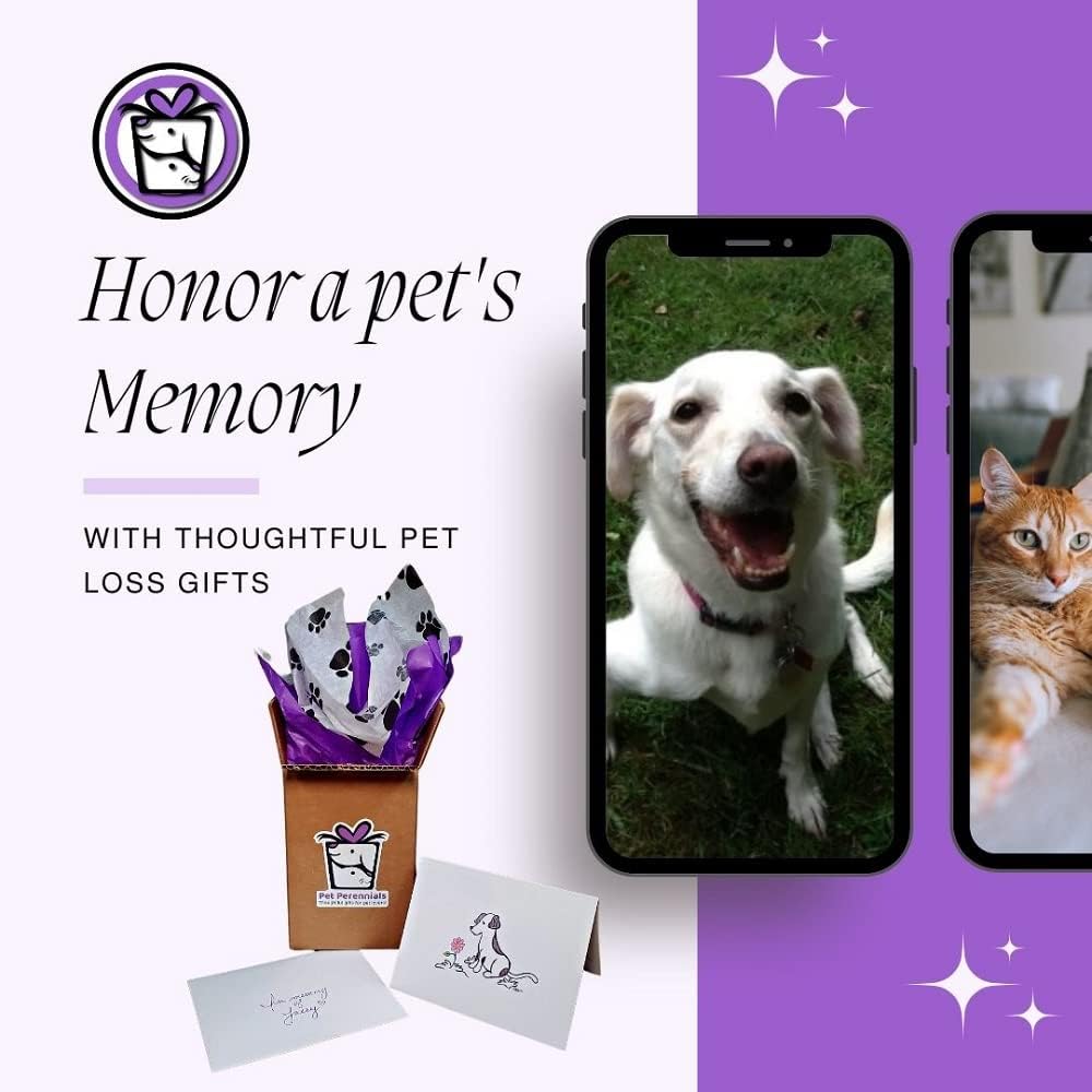Pet Perennials Healing Hearts – Vela conmemorativa para mascotas, vela de soja con piedra de recuerdo de Feng-Shui (incrustada) Pérdida de regalos