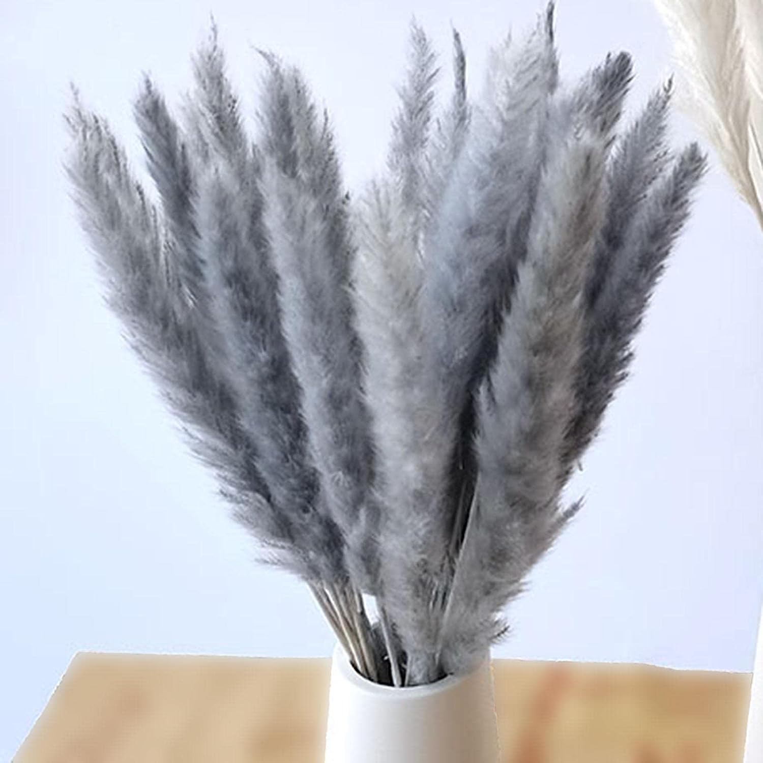 Ramo de hierba de pampa seca de 15 Uds. Hierba artificial de las pampas Hierba Natural de la Pampa Arreglo de flores para la decoración del hogar de