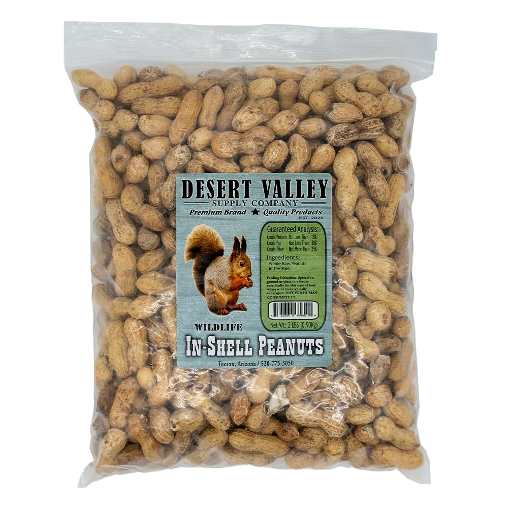 Desert Valley – Cacahuetes de concha prémium – Wild Bird – Alimento para vida silvestre, ardillas, ardillas, cardenales, arrendajos y más (2 libras)