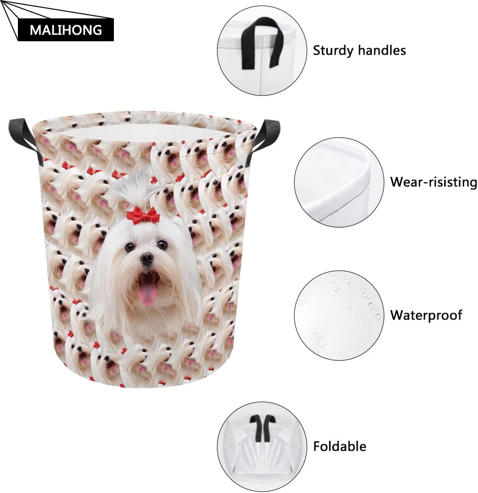 MALIHONG Cesta plegable con estampado de perro, divertida cesta de lavandería de sandía Husky con asa, caja de juguetes, bolsa de almacenamiento