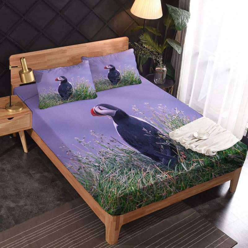 Arctic Seagull – Juego de sábanas tamaño King  Sábanas y fundas de almohada de frailecillo  Lujoso 100% microfibra, estampado de alta cantidad de