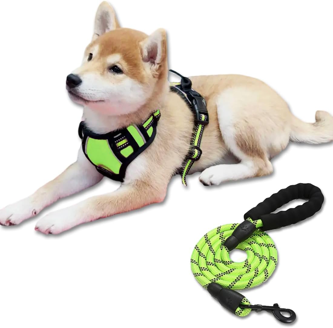 Conjunto de arnés y correa para perro, arnés de entrenamiento sin tirones en el pecho para perro con correa ajustable para exteriores, chaleco para