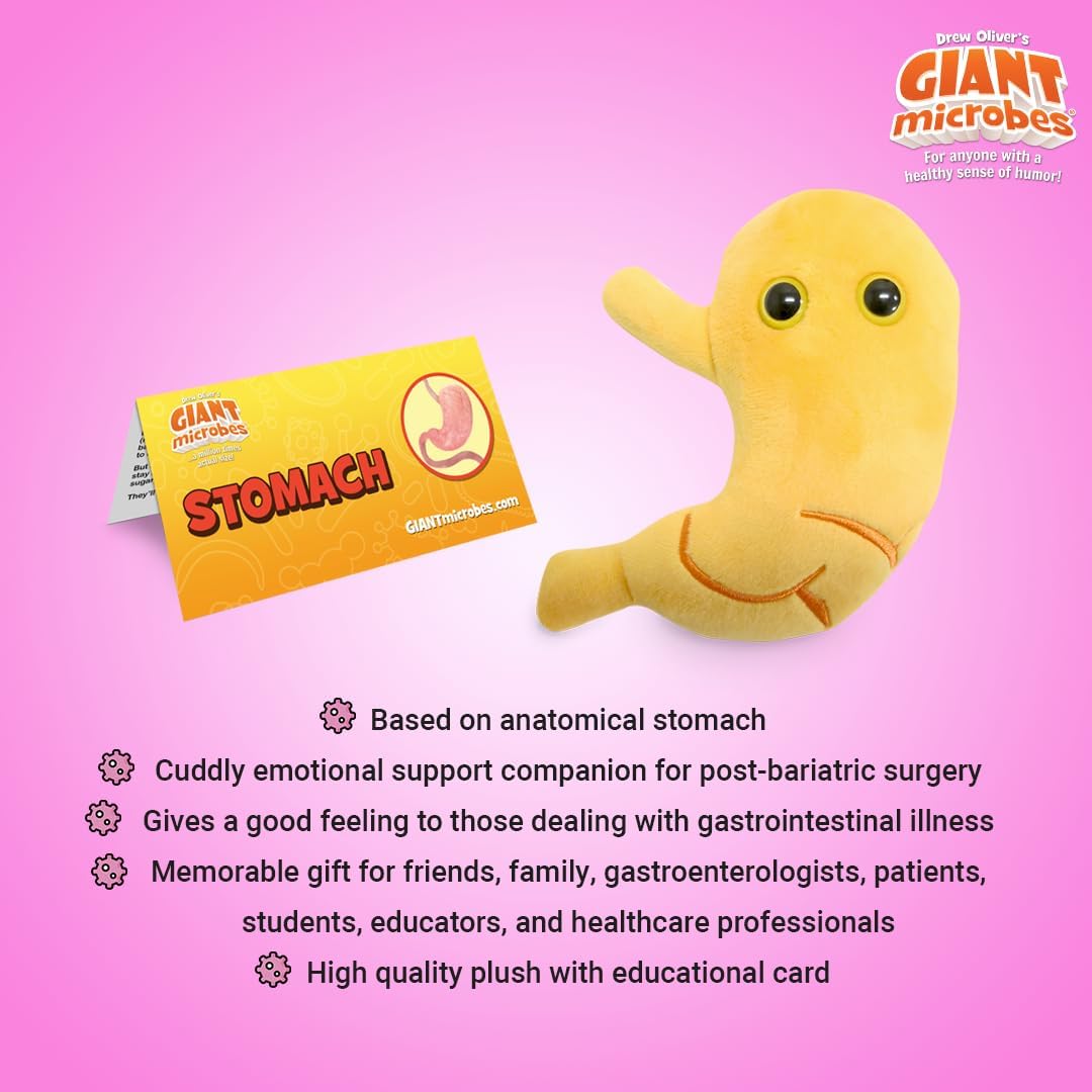 GIANTmicrobes – Peluche estomacal  Juguete anatómico de órgano, regalo de recuperación de cirugía bariátrica, regalos de bypass gástrico, manga