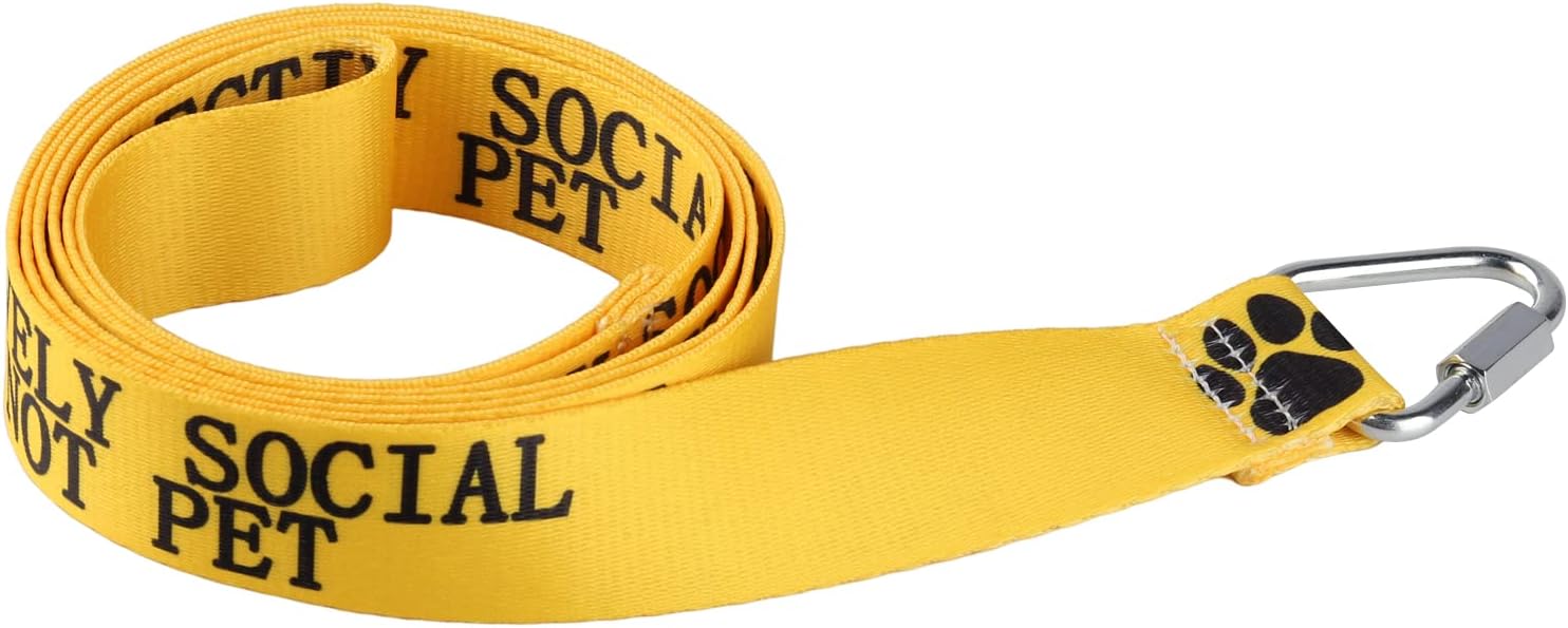 Divertida correa para perro selectivamente social, no mascotas, correa para perros para caminar, entrenamiento, correas para perros, dueño de