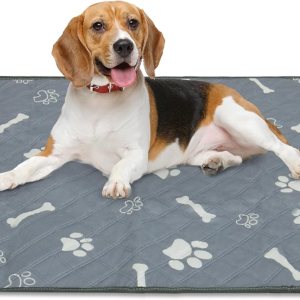 Almohadillas lavables para orina de perros, impermeables, reutilizables, súper absorbentes, para entrenamiento, viajes, parto, tapetes grandes a Almohadillas lavables para orina de perros, impermeables, reutilizables, súper absorbentes, para entrenamiento, viajes, parto, tapetes grandes a