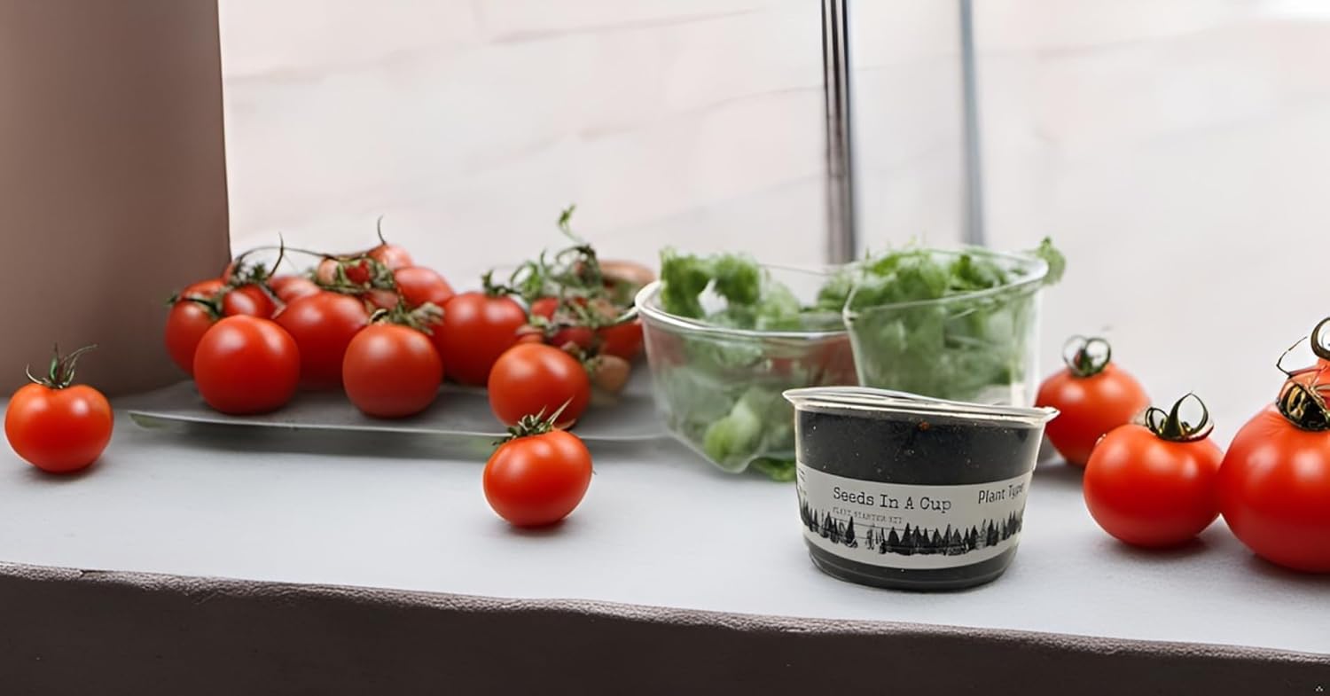 Semillas en una taza – Kit de cultivo de plantas (Tomato)