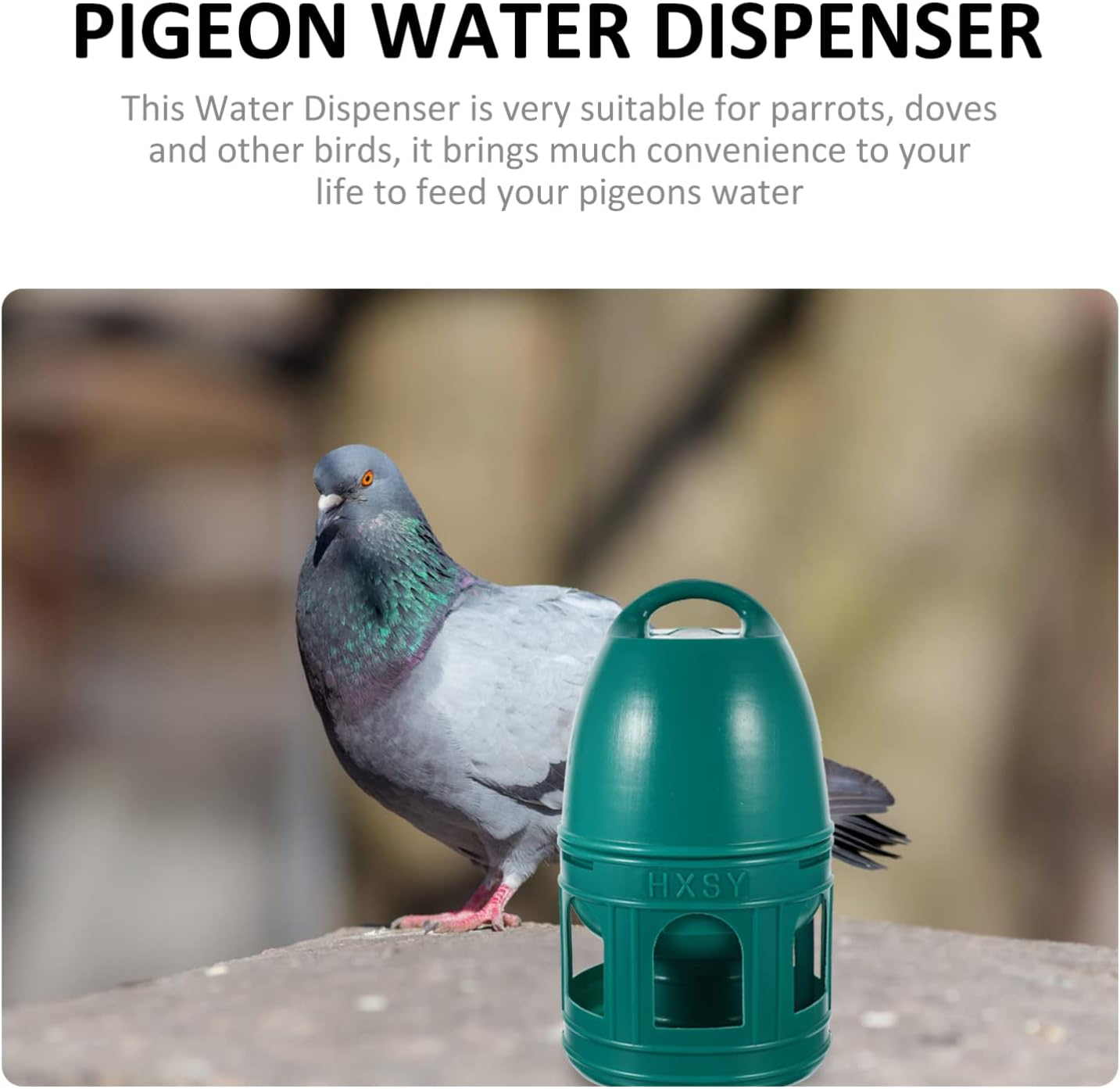 Alipis Dispensador de agua de paloma, tazas de agua de pollo, bebedor de agua para pájaros, bebedero de codornices de plástico, alimentadores