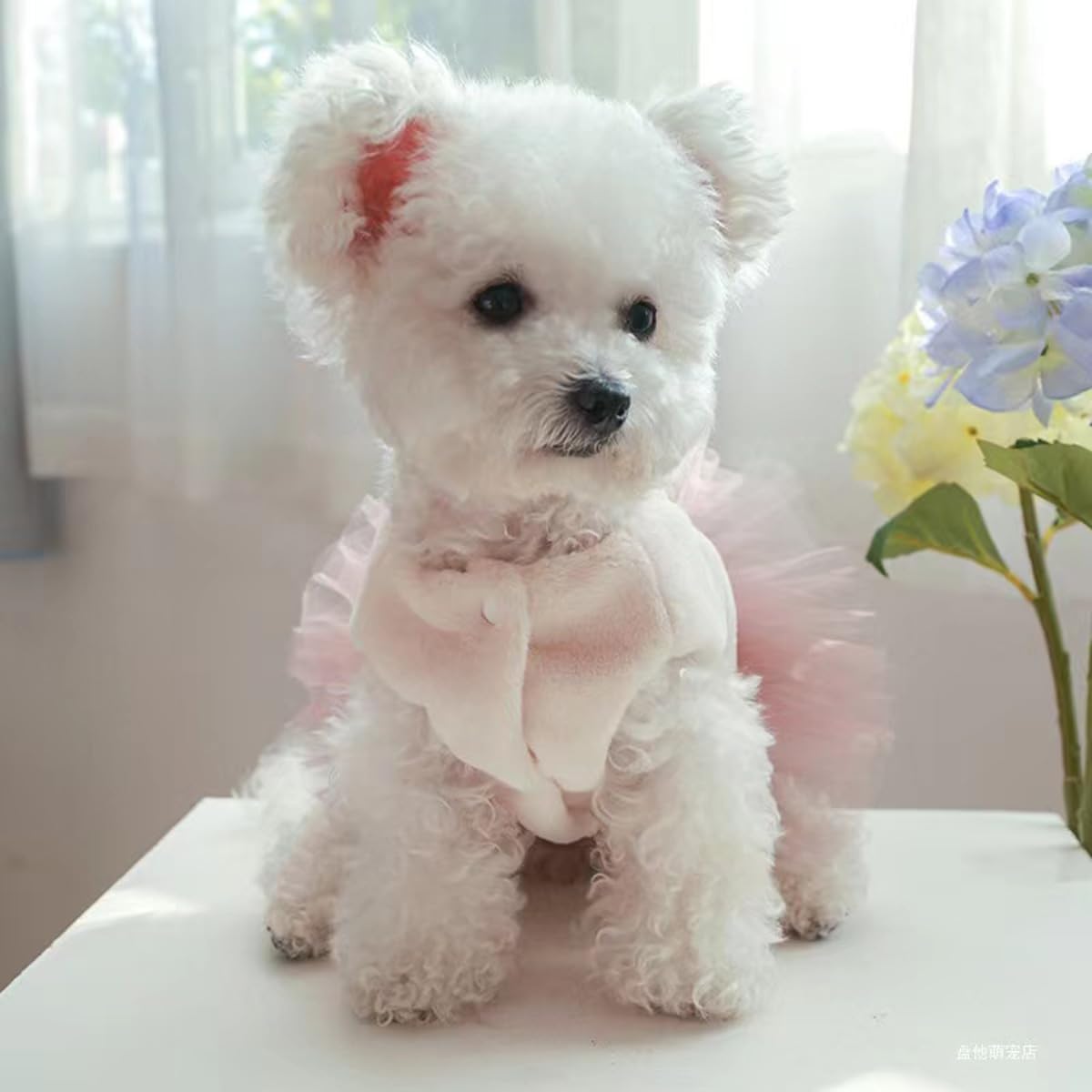 Abrigo de invierno para perro, chaqueta acolchada para perro, camisas para perro, ropa impresa para mascotas, chalecos de falda de algodón en clima