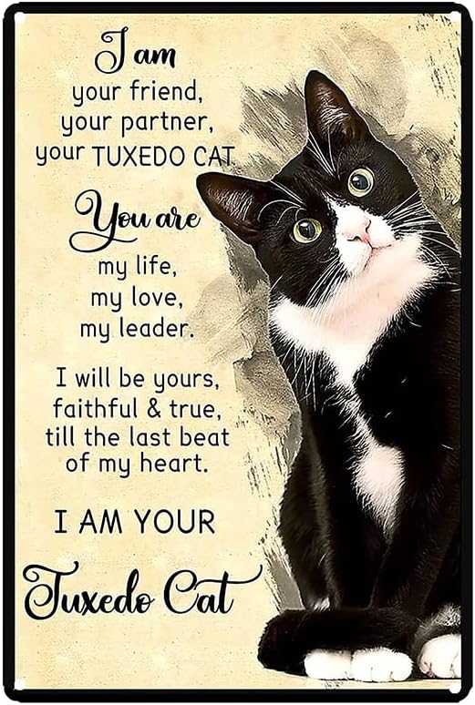 Letreros de metal de hojalata con texto en inglés “I Your Friend Your Partner Your Partner Your Tuxedo Cat”  Cartel de metal para pared con texto en