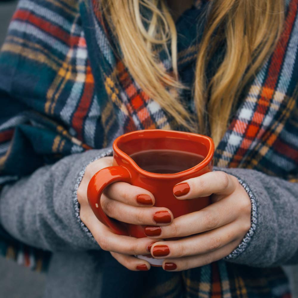 Harney and Sons – Cápsulas de té de especias de canela caliente, 24 unidades