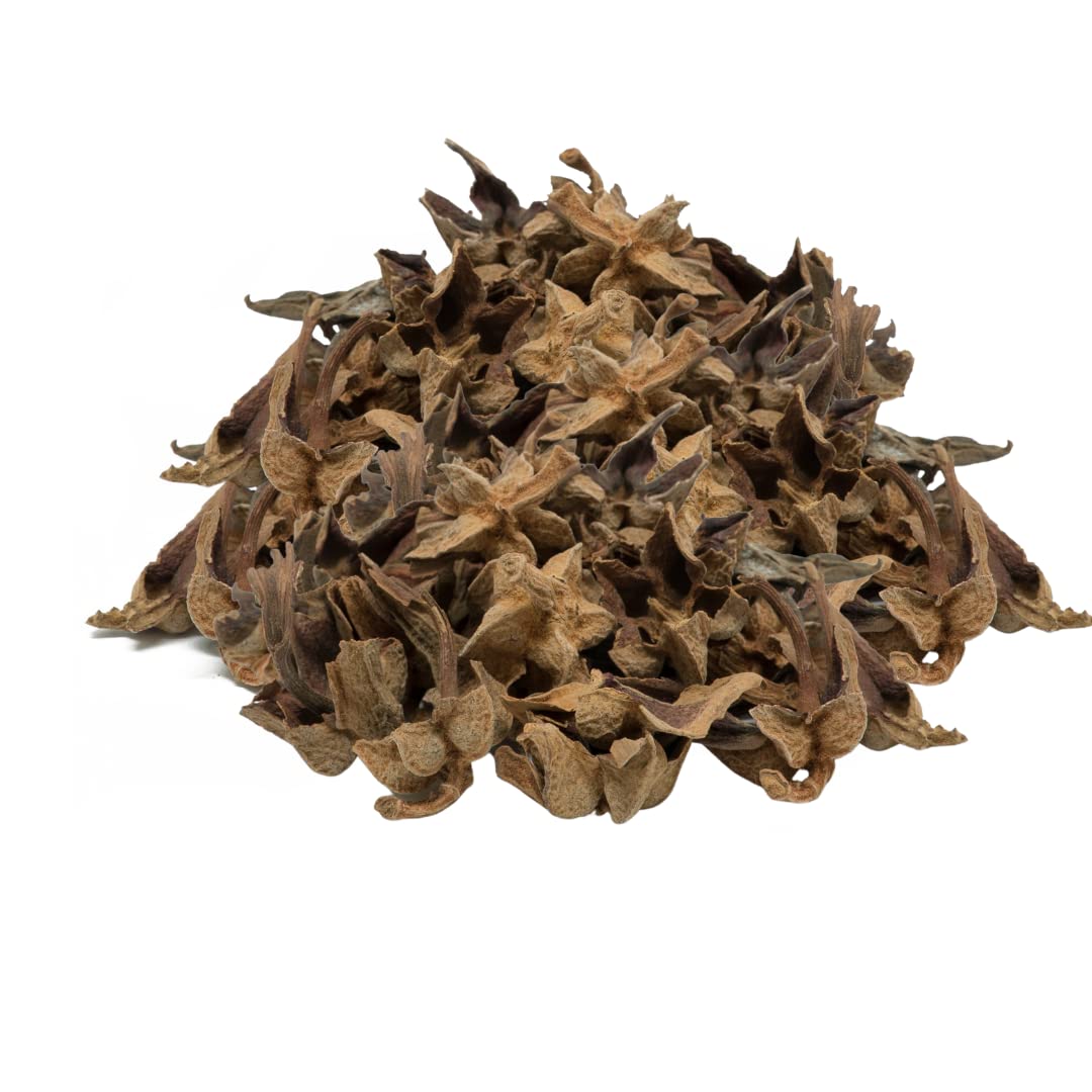 Yerbero – Té de hierbas Flor De Manirta 2 oz (56 gr)  Chiranthodendron Pentadactylon  Bolsa resellable de pie hecha por Nature100% té fresco natural