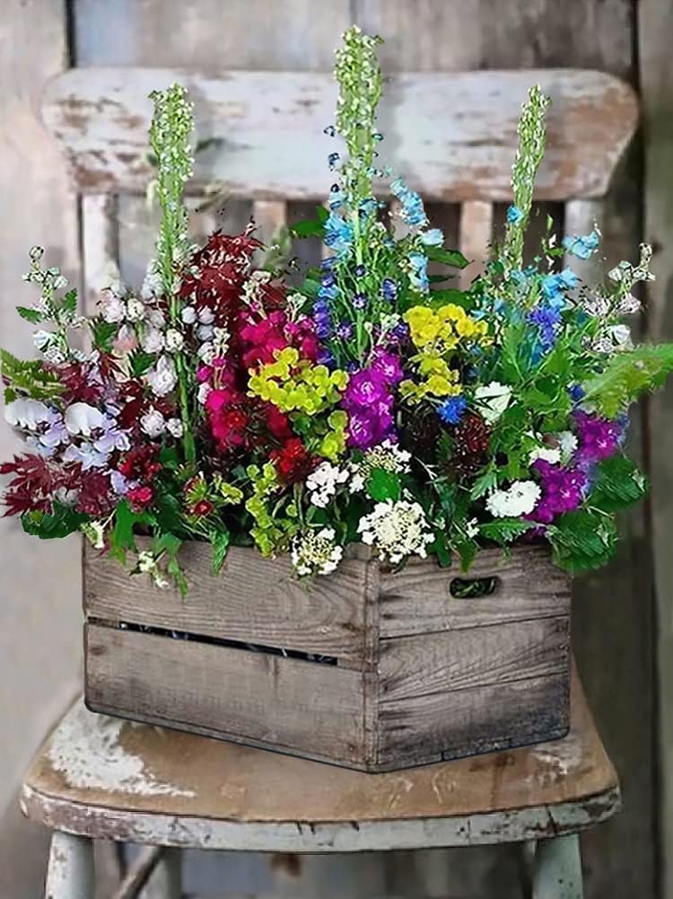 Clendo Kit de pintura al óleo para principiantes para niños, pintura de flores por números para adultos con pinceles de pintura, pintura acrílica de