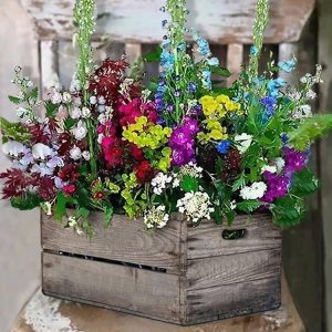 Clendo Kit de pintura al óleo para principiantes para niños, pintura de flores por números para adultos con pinceles de pintura, pintura acrílica de Clendo Kit de pintura al óleo para principiantes para niños, pintura de flores por números para adultos con pinceles de pintura, pintura acrílica de